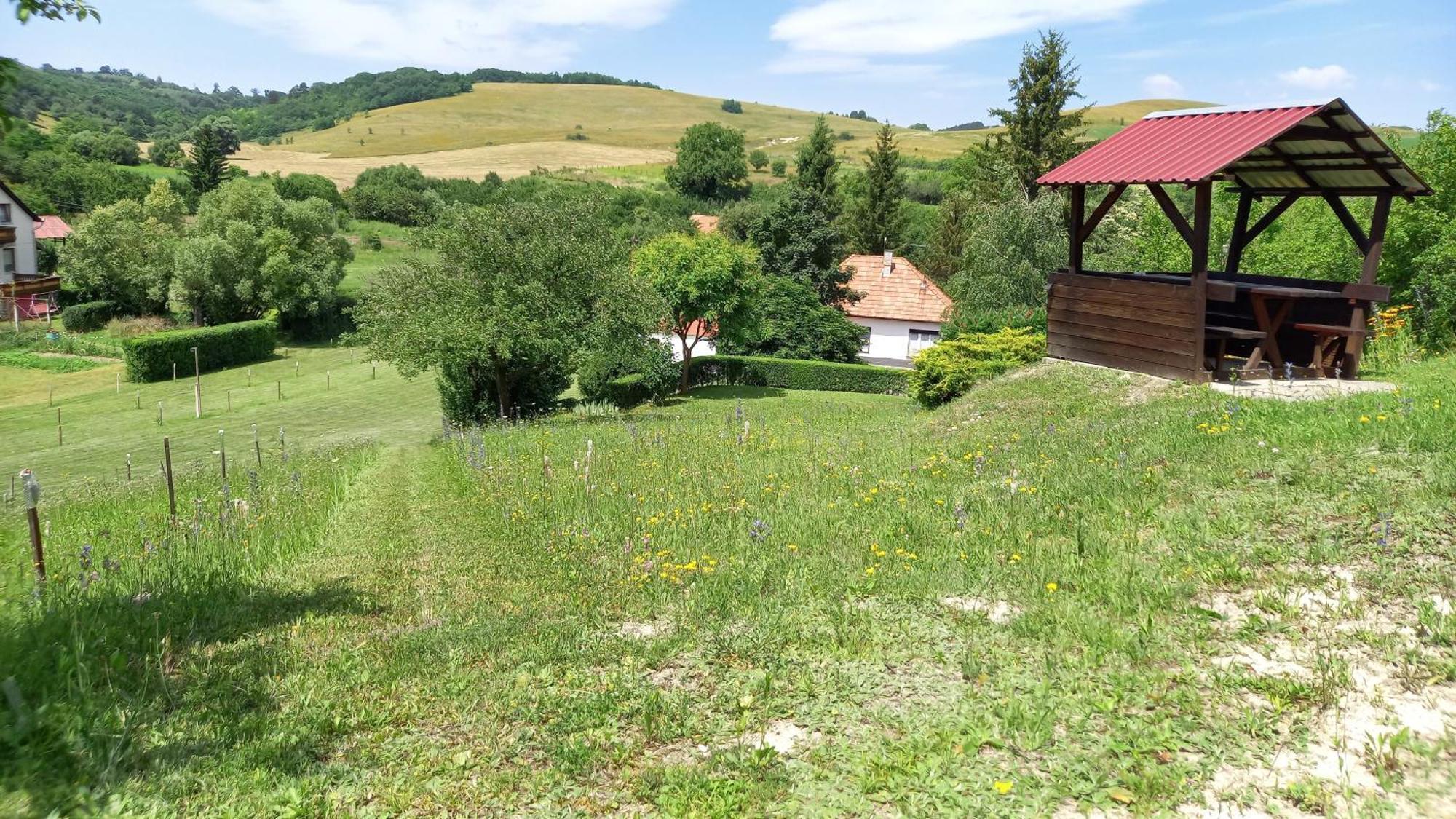 Ferienwohnung Vadaszles Vendeghaz Bukkszentmarton Exterior foto